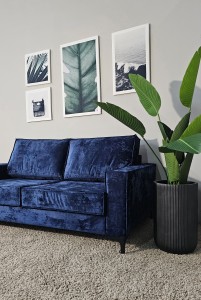 Диван Куба МД