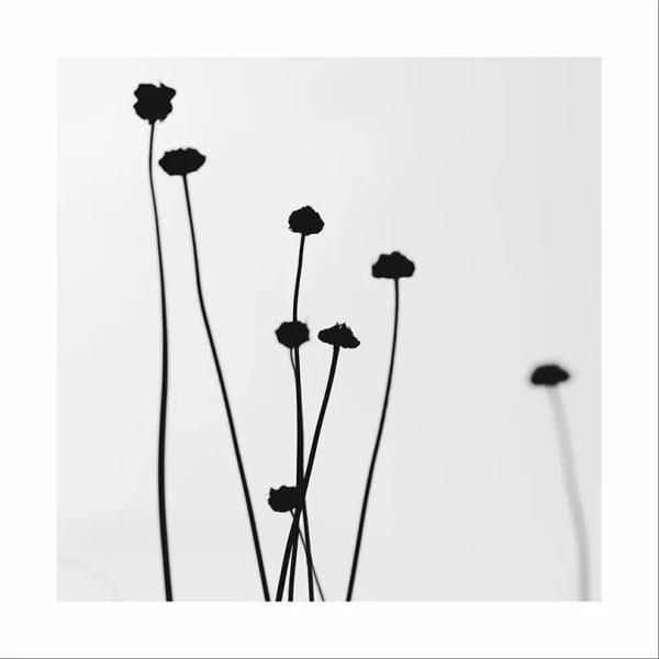 Картина Скандинавия - 2  400*400