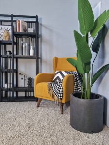 Кресло Градара